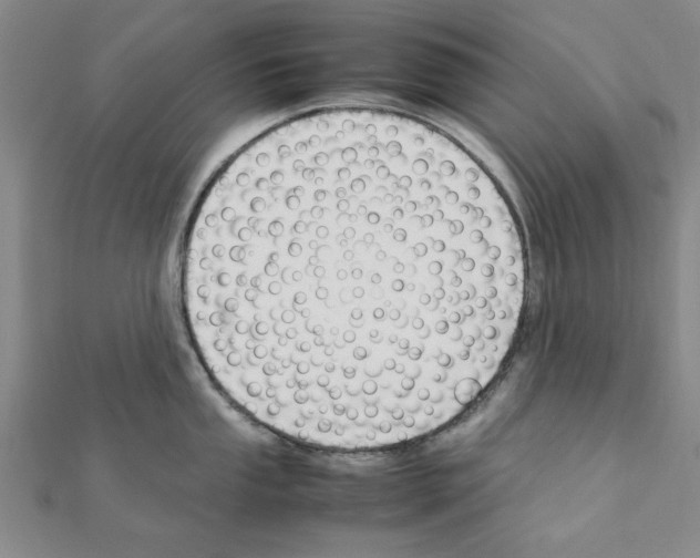 X0000111191053200908121043