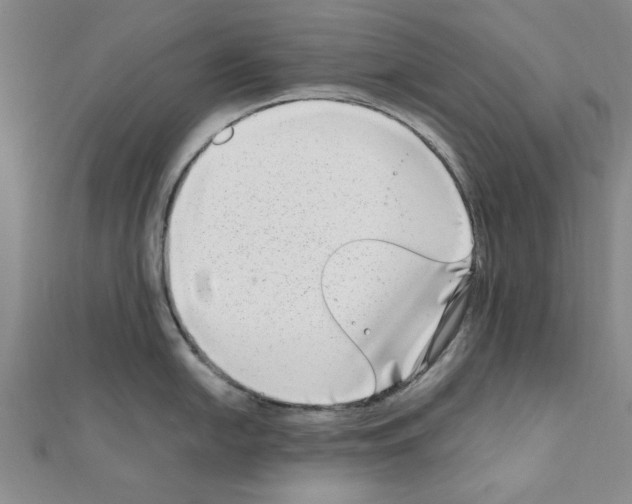 X0000111191054200908121043