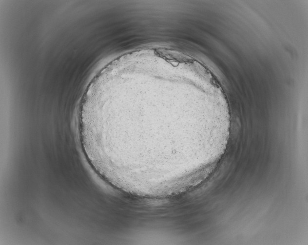 X0000111191055200908121043