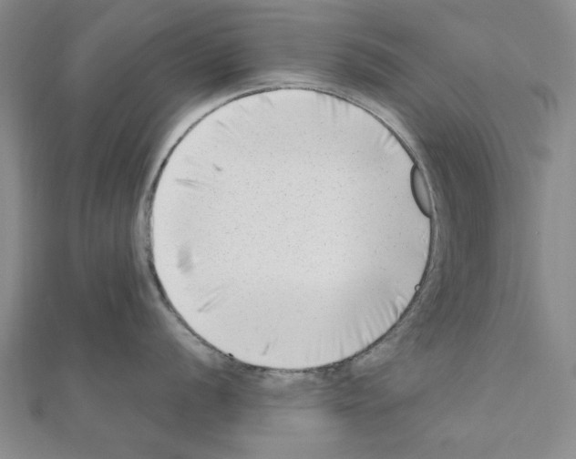 X0000111191056200908121043