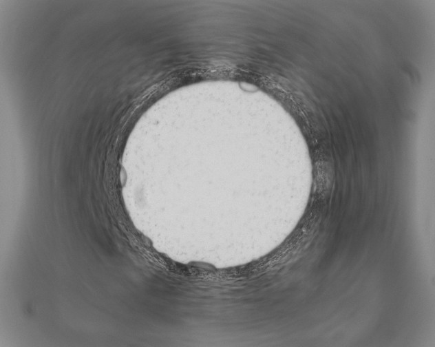 X0000111191057200908121042