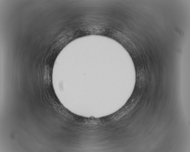X0000111191058200908121042