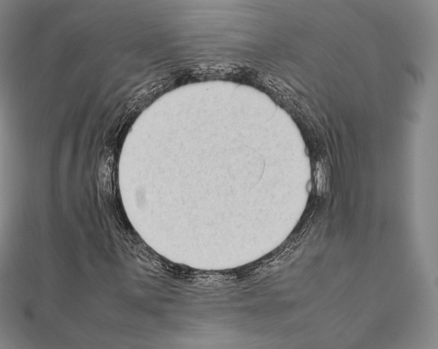 X0000111191059200908121042