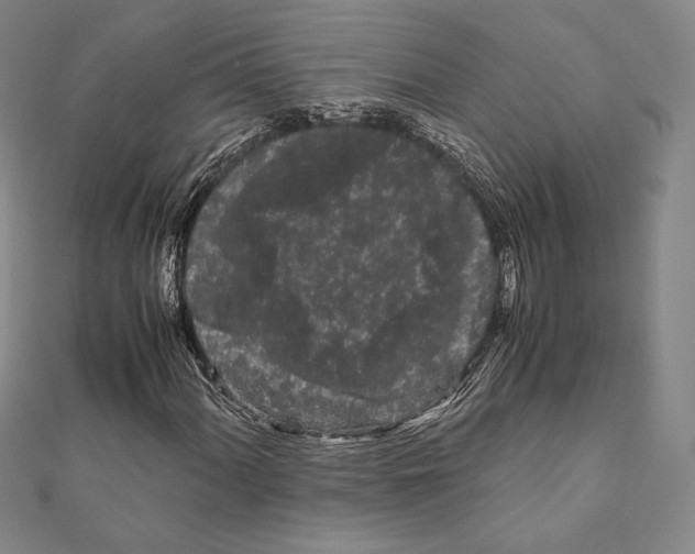 X0000111191060200908121042
