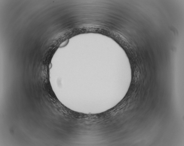 X0000111191062200908121042