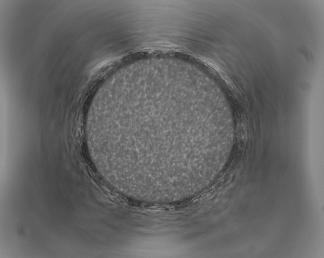 X0000111191063200908121042