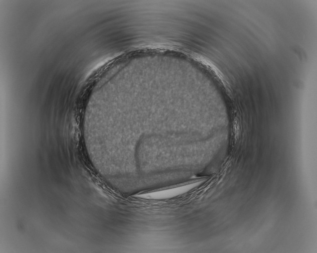 X0000111191064200908121042