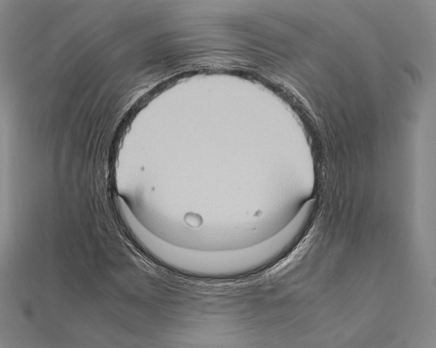 X0000111191065200908121042