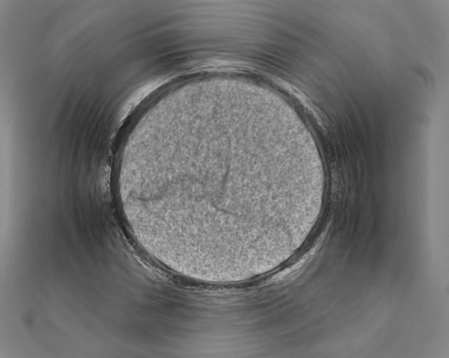 X0000111191066200908121042
