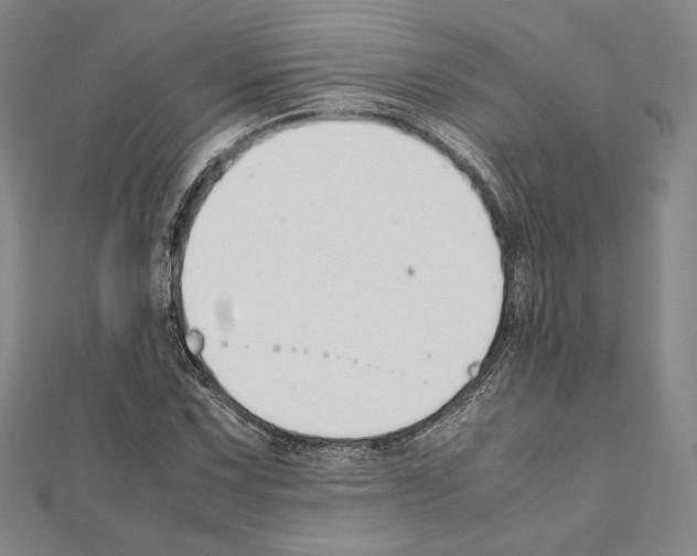 X0000111191067200908121042