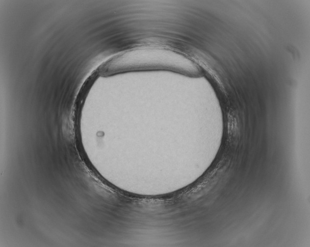 X0000111191068200908121042