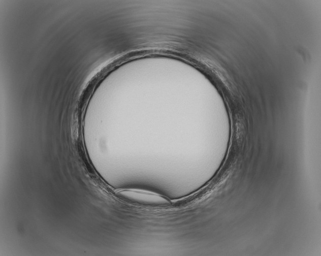 X0000111191069200908121042