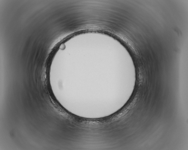 X0000111191070200908121042