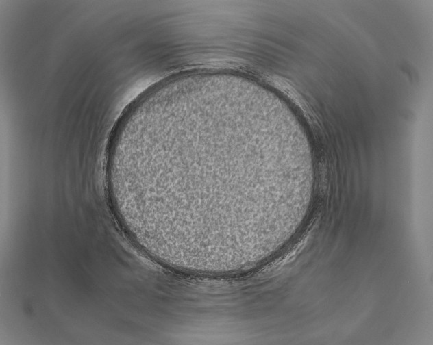 X0000111191071200908121042
