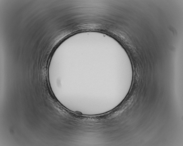 X0000111191073200908121042