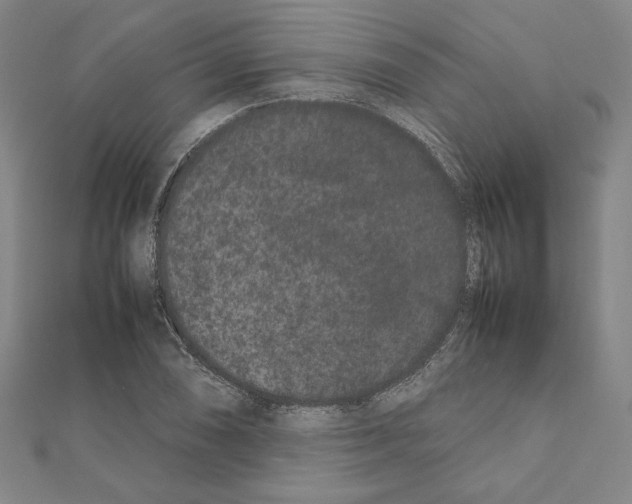 X0000111191074200908121042