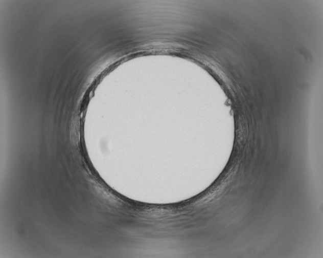 X0000111191075200908121042