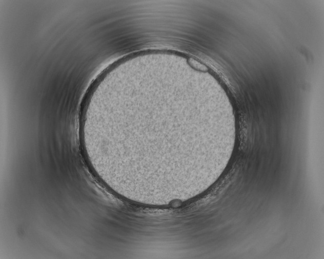 X0000111191076200908121042