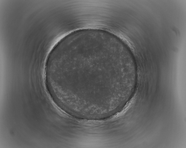 X0000111191077200908121042