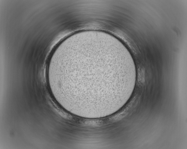 X0000111191078200908121042