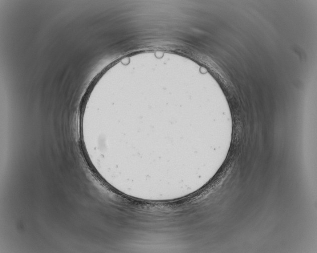 X0000111191079200908121042