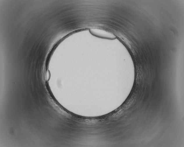 X0000111191080200908121042