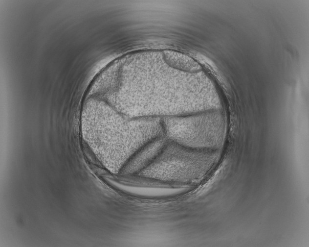 X0000111191081200908121042