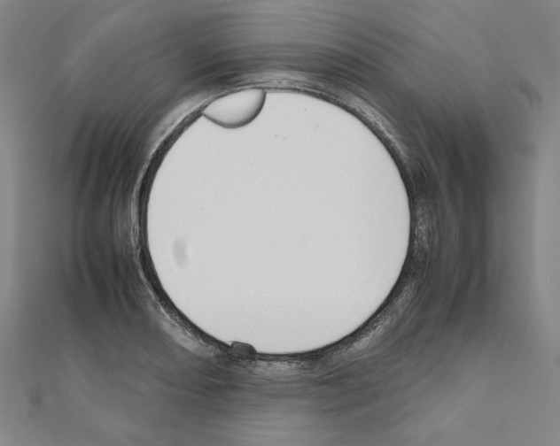X0000111191082200908121042