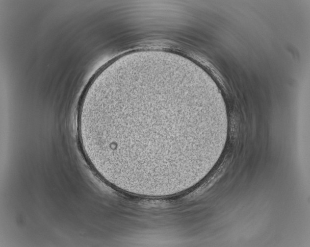 X0000111191083200908121042