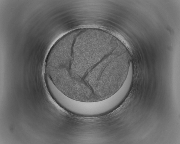 X0000111191084200908121042