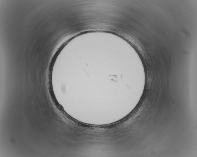 X0000111191085200908121042