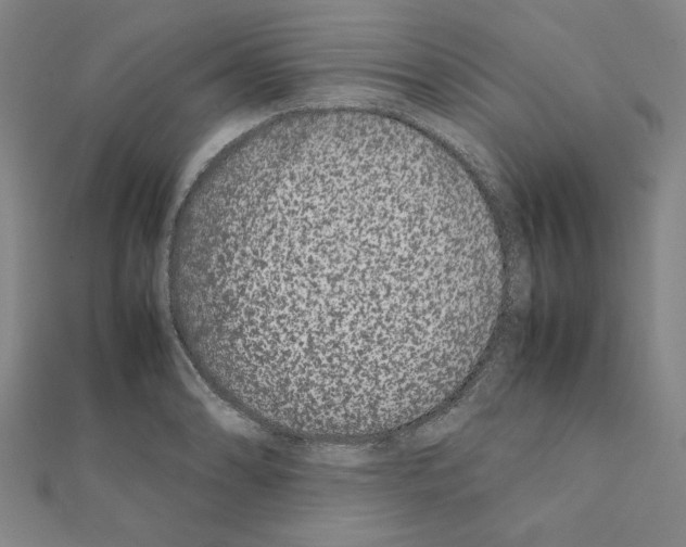 X0000111191086200908121042