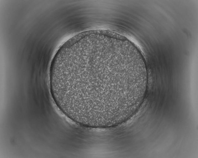X0000111191088200908121042