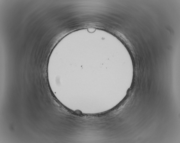 X0000111191089200908121042