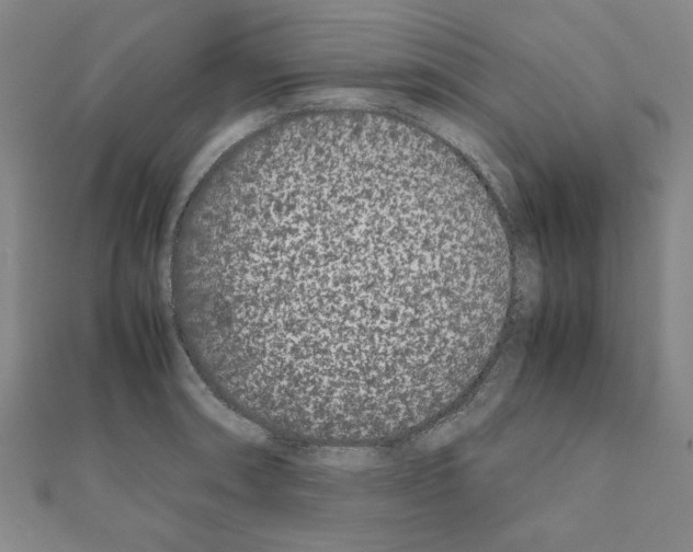 X0000111191090200908121042