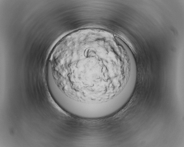 X0000111191092200908121042
