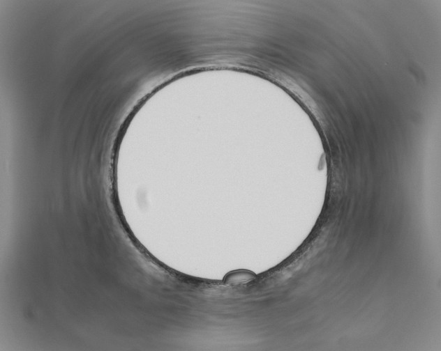 X0000111191093200908121042
