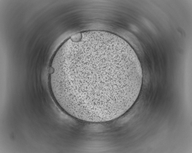X0000111191094200908121042