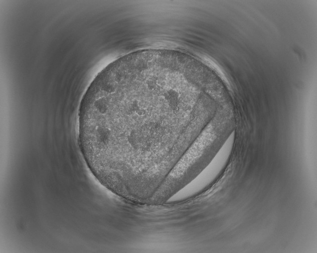 X0000111191095200908121042