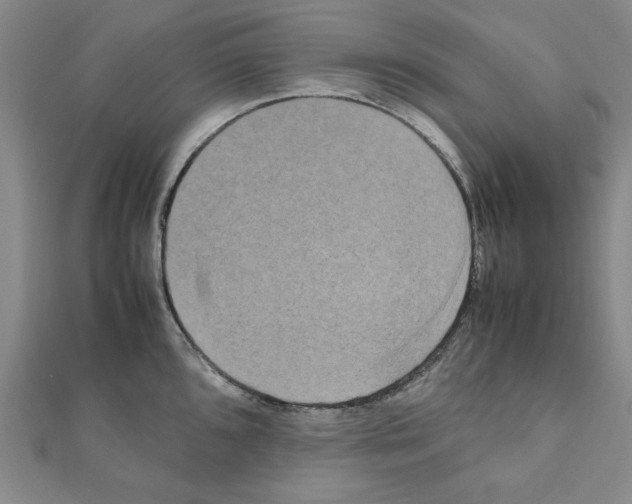 X0000111191096200908121042