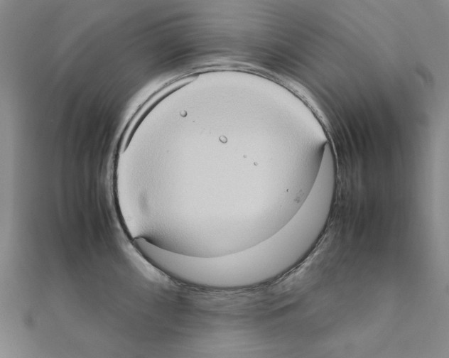 X0000111191098200908121042