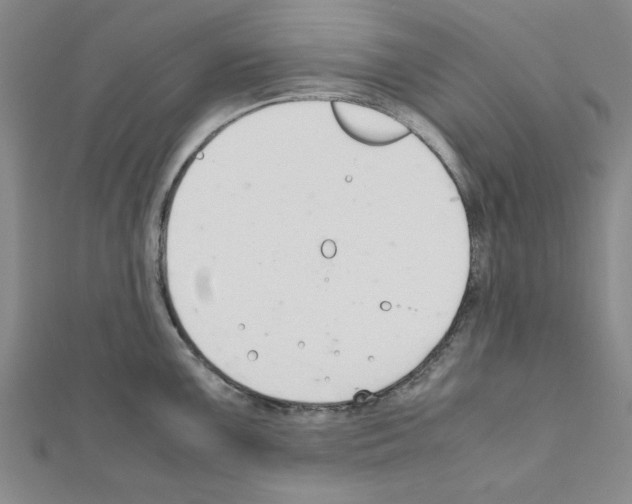 X0000111191099200908121042
