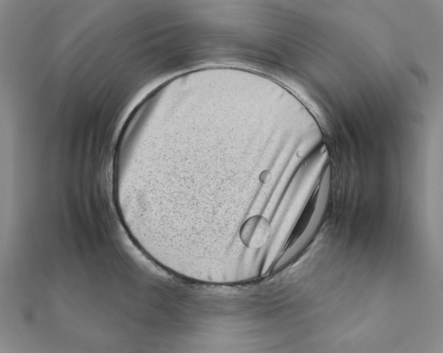 X0000111191100200908121042