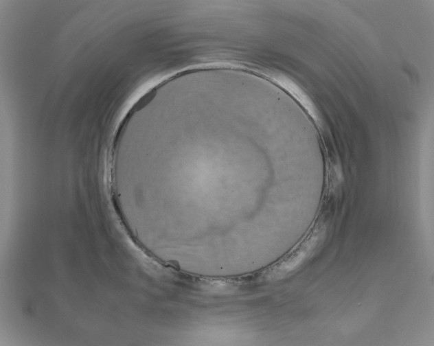 X0000111191101200908121042