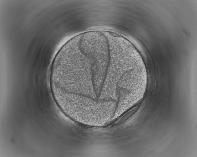 X0000111191102200908121042