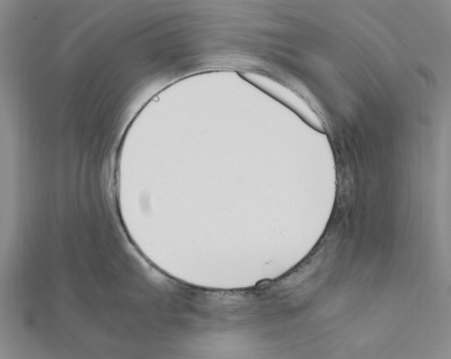 X0000111191103200908121042