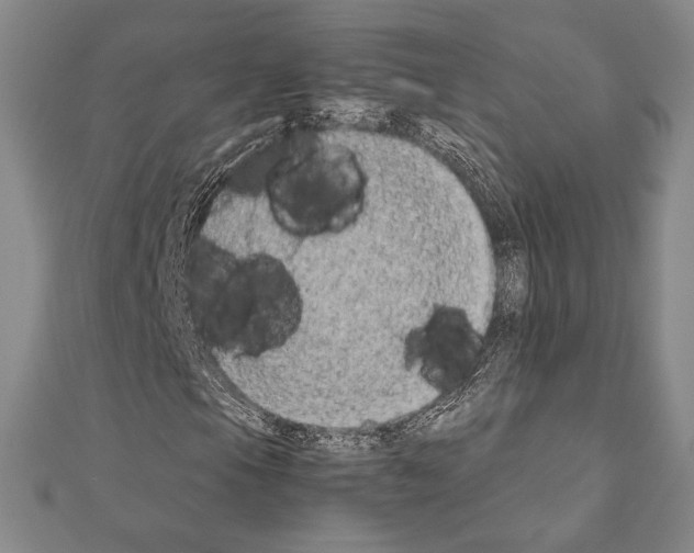X0000111191105200908121041