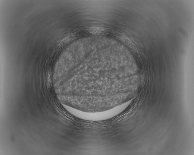 X0000111191106200908121041