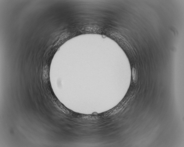 X0000111191107200908121041