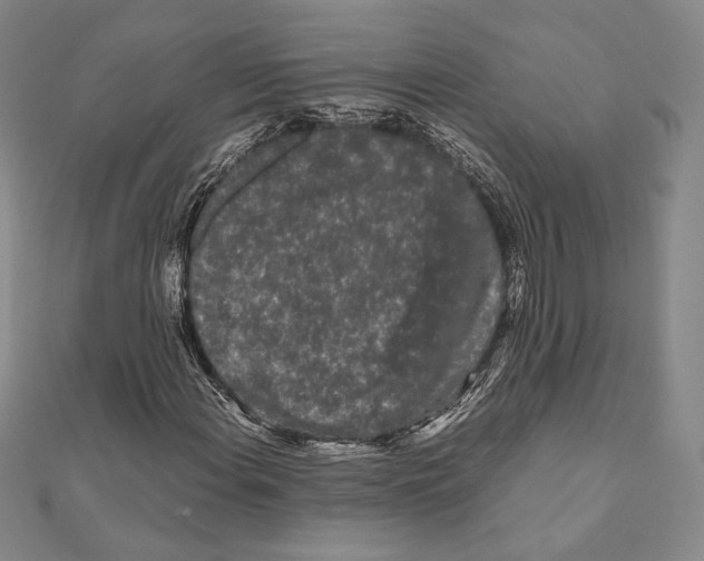 X0000111191108200908121041